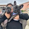 zoe.love.the.fren