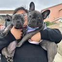 @zoe.love.the.fren