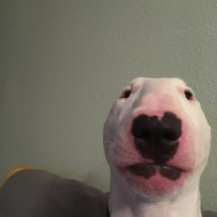 iiqueenkora