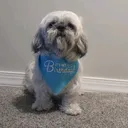 @dog_lover5566