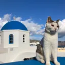 @greek.islands.videos