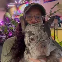 @wtf_tx