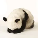 @yars_jar