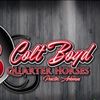 coltboydquarterhorses