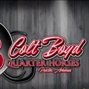 @coltboydquarterhorses