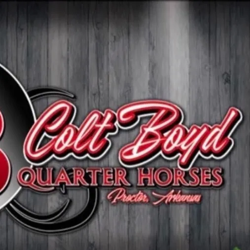 coltboydquarterhorses