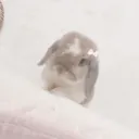@clairej_222