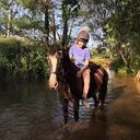 @soph_equestrian04