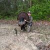 dawsonvaughn3