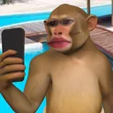 @memermonkey1