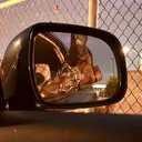 @_sillygigi