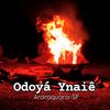 ayahuasca_odoya