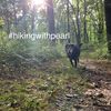 hikingwithpearl1