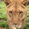 cedarhillanimalsanctuary