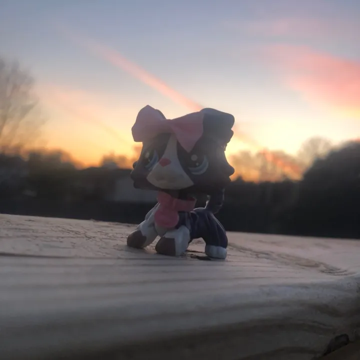 lps.lovers02