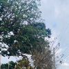 locxs8