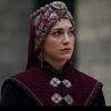 cemregumeli.3