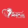 concienciaanimal8