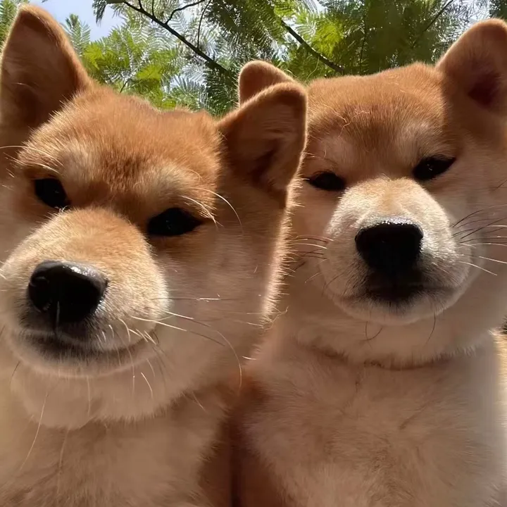 @kwz9fnn7