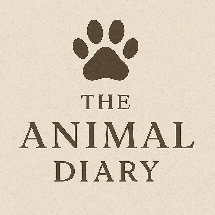the.animal.diary2
