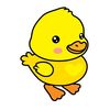 quackercomedy