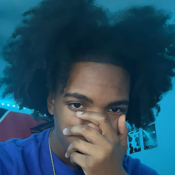 lostfeeds