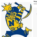 @negaunee_guess_whoo