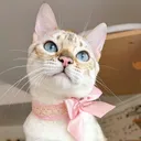 @444soyyo