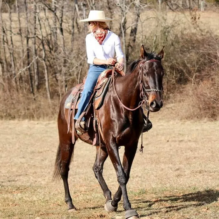 you.aint.no.cowboy