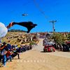 copaneytor_rally