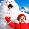 kittyboobooz