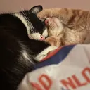 @007n7_lover6