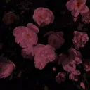@sadgirlnico
