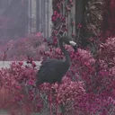 @kineticverse_
