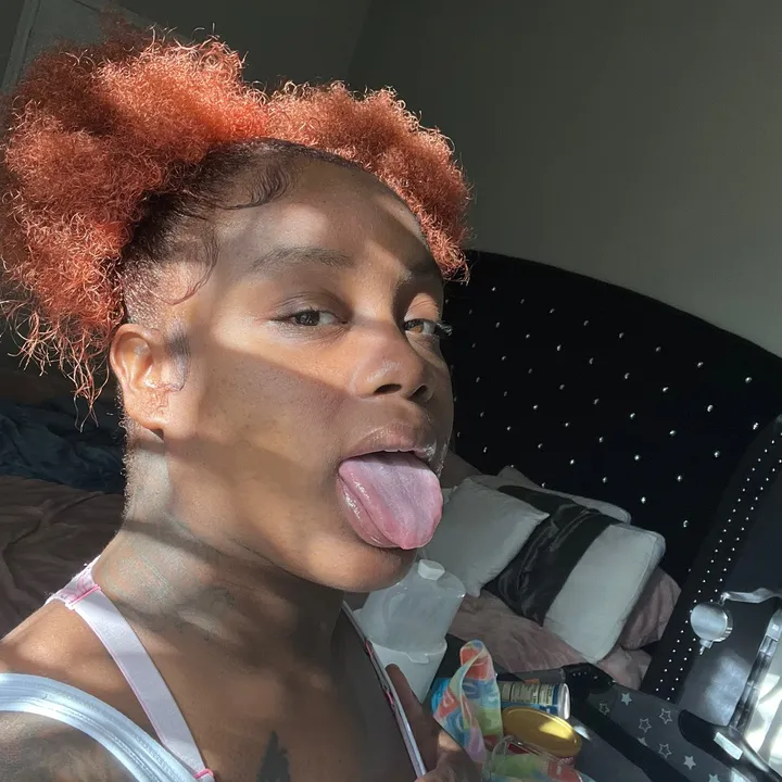 @fvmous.bitia