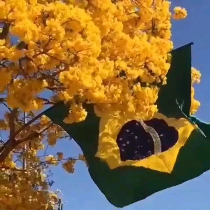 raphymodas