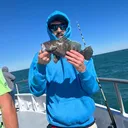 @austin.wrld
