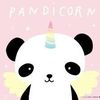 pandakiwikat