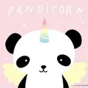 @pandakiwikat