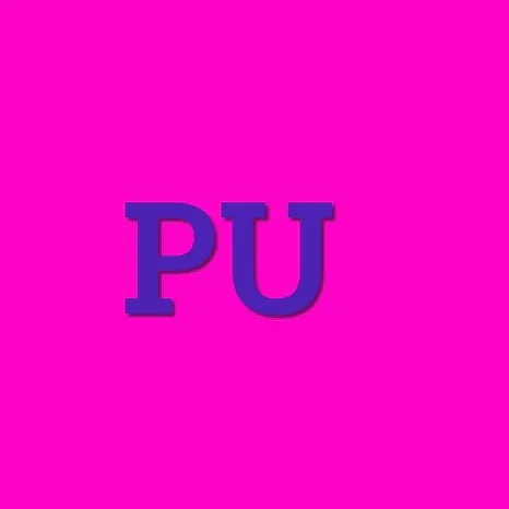 papusuniverse