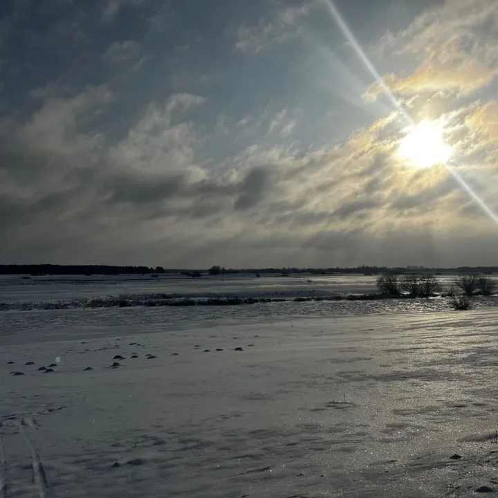 koniskrol