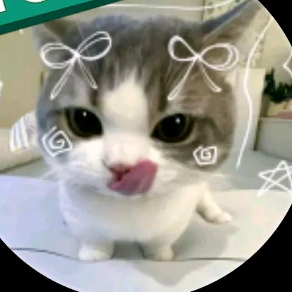 @gatinha.fofa59