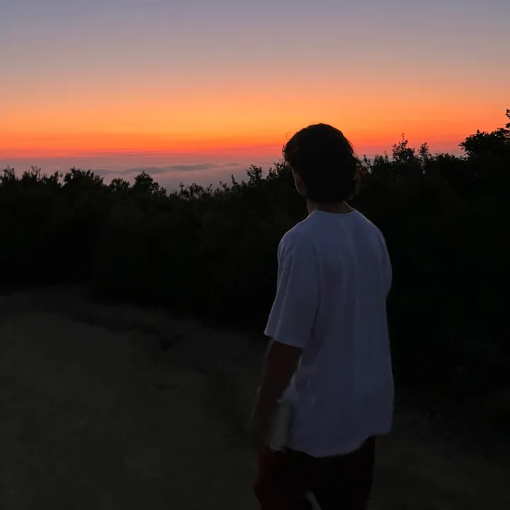 @dsviews