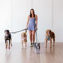 @dallas_dog_walker