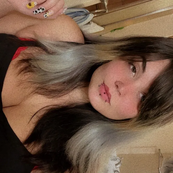 unhinged_sunflowe