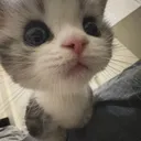 @th3eepy