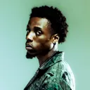 @roywoods