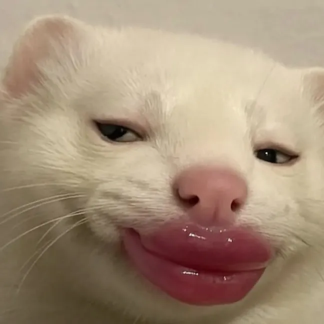 @fosuaa12345