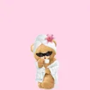 @not.krishi