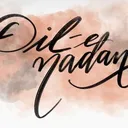 @dilenadaan20
